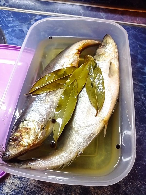 Селедка по рецепту дальневосточных моряков